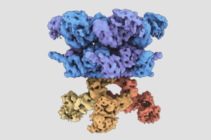 EMVCP kapoor lab