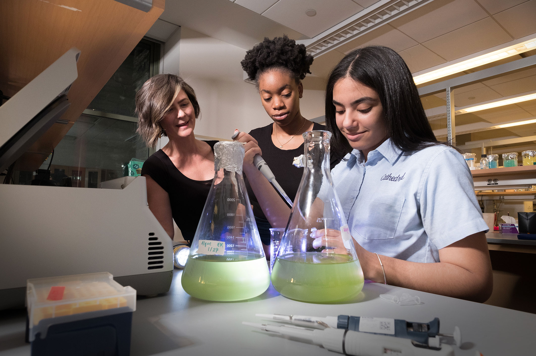 Mentorship at RockEDU
